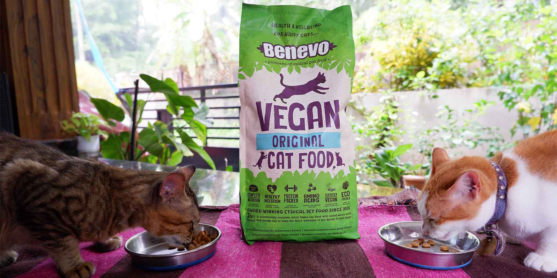 Curated visual reference: Fresh Look at Vegan Cat Food Can Obligate Carnivores Thrive On Plants