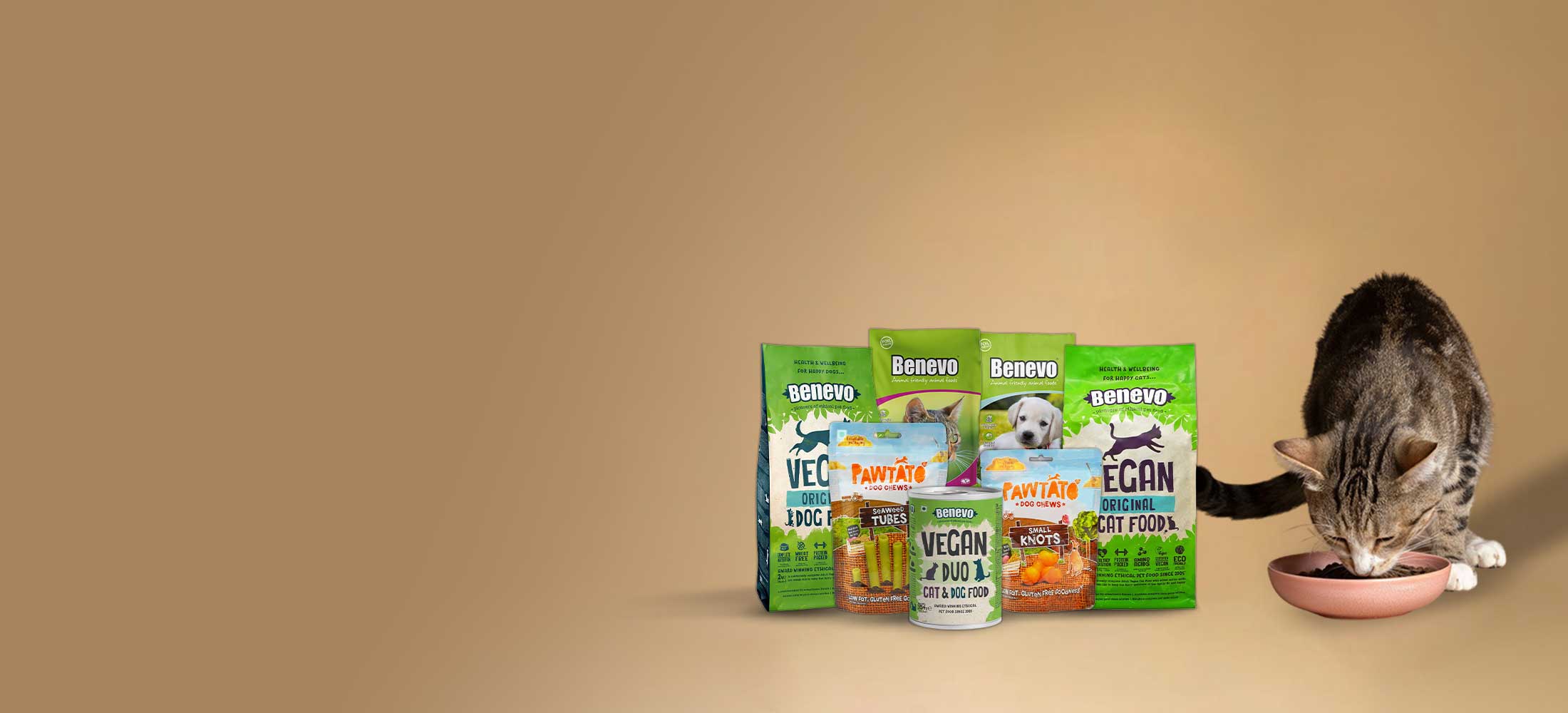 slider image slider_item_bXz8hY