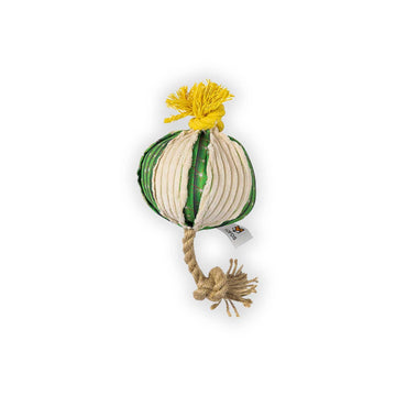 FOFOS Cactus Ball With Hemp Rope