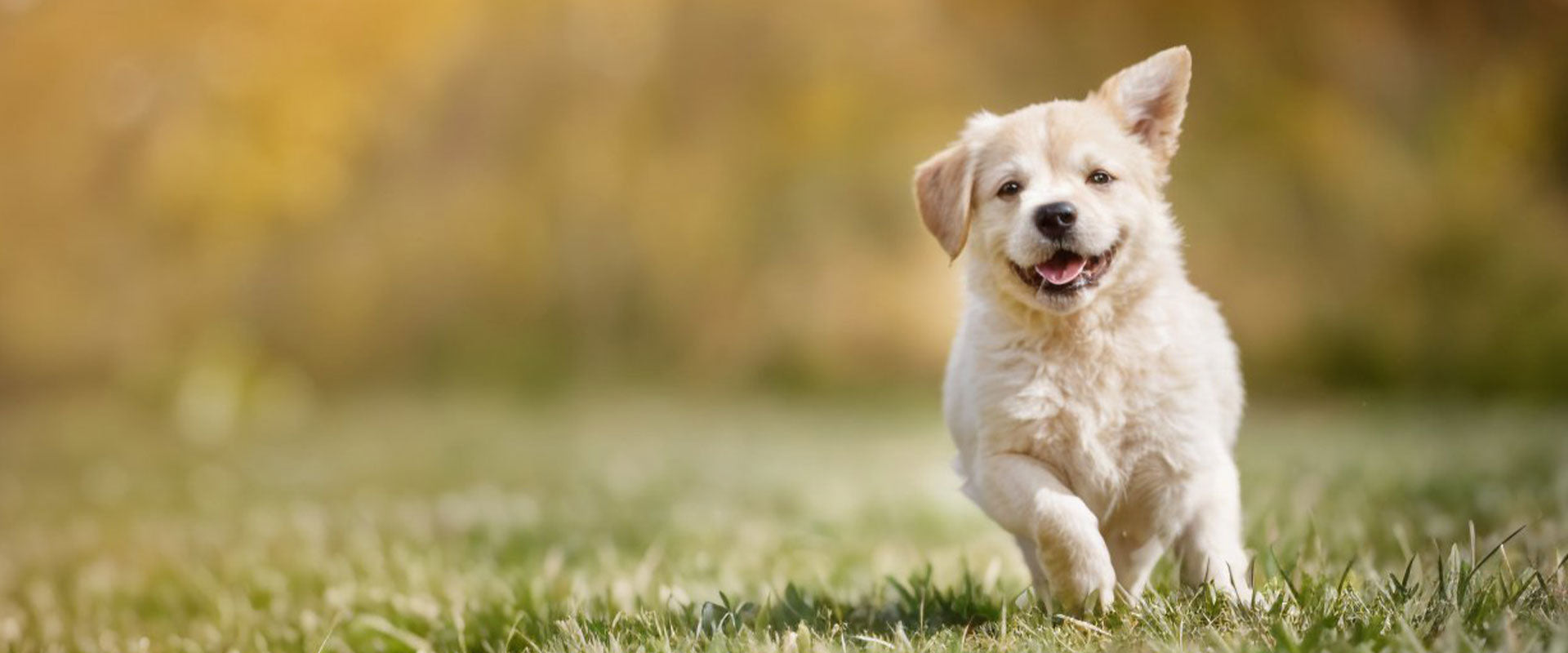 slider image 1621243260e1af0c20-0