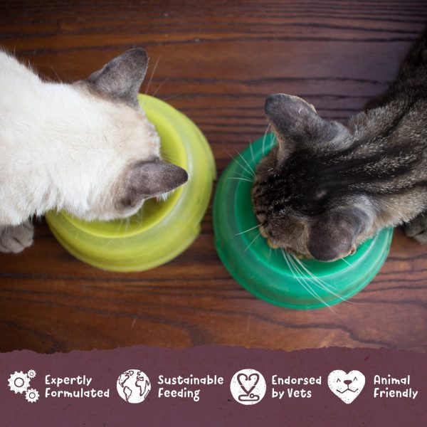 Benevo Vegetarian (Vegan) Cat Food 2kg