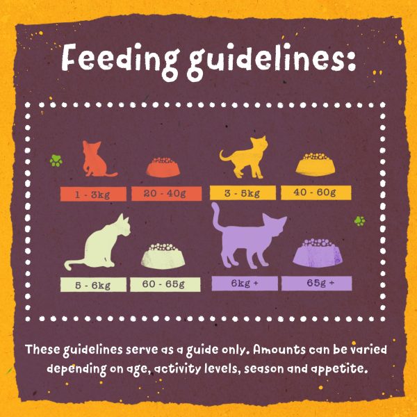 Benevo Vegetarian (Vegan) Cat Food 10kg