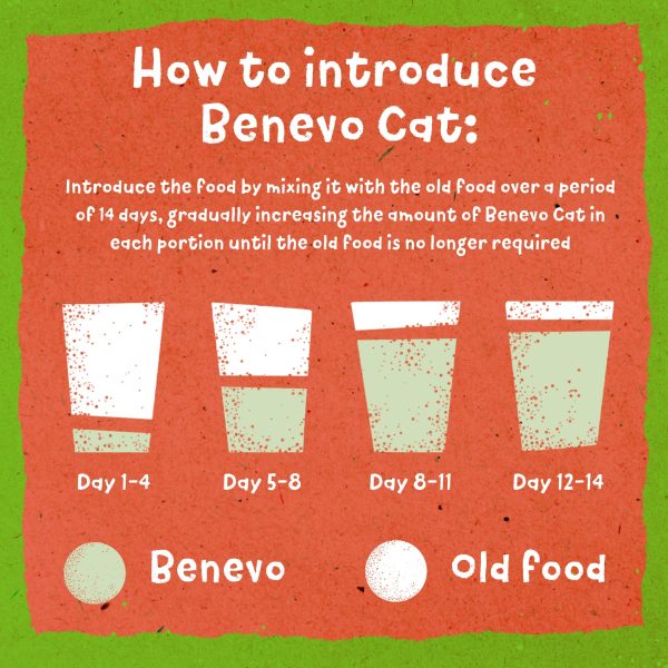 Benevo Vegetarian (Vegan) Cat Food 2kg