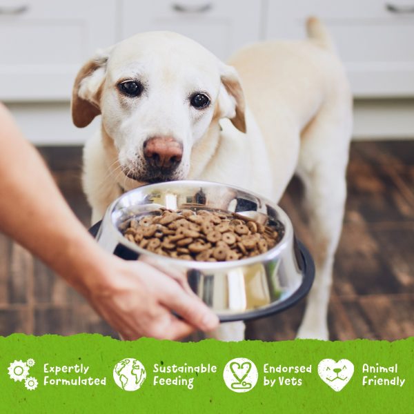 Benevo Vegetarian (Vegan) Adult Dog Food 15kg — view 6