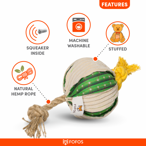FOFOS Cactus Ball With Hemp Rope