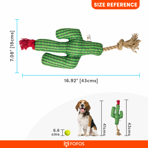 FOFOS Cactus With Hemp Rope — view 4