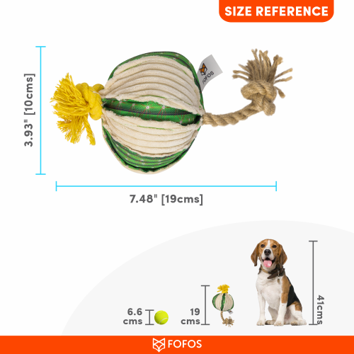 FOFOS Cactus Ball With Hemp Rope