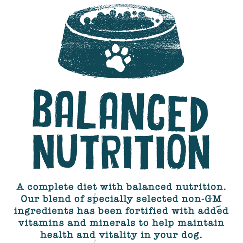 Benevo Vegetarian (Vegan) Puppy Food 10kg
