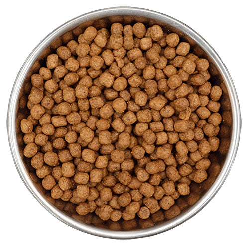 Benevo Vegetarian (Vegan) Puppy Food 10kg