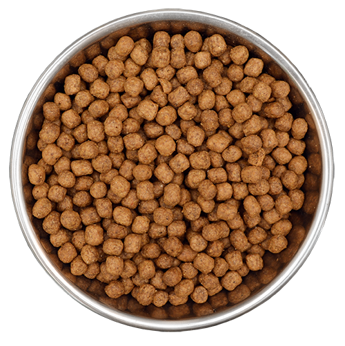 Benevo Vegetarian (Vegan) Puppy Food 2kg