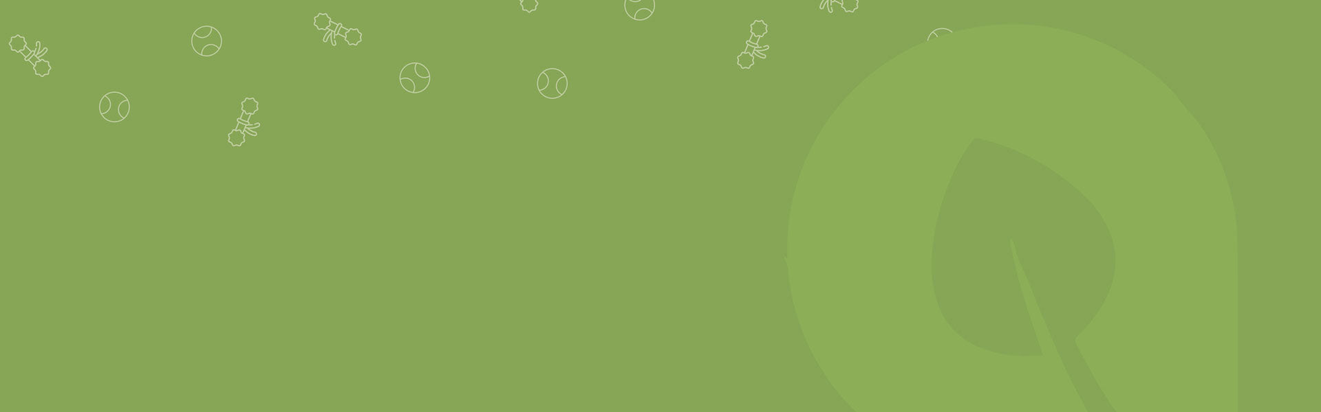 collection-banner-image