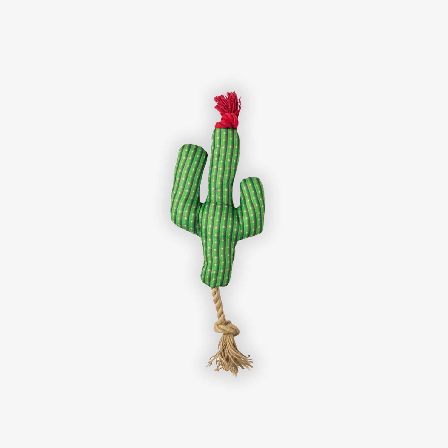 FOFOS Cactus With Hemp Rope — view 3